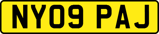 NY09PAJ