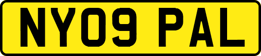 NY09PAL
