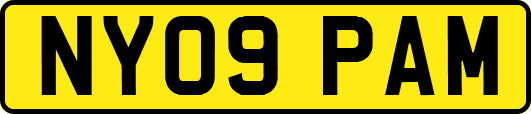 NY09PAM