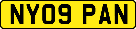 NY09PAN