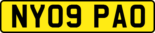 NY09PAO