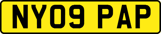 NY09PAP