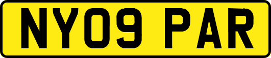 NY09PAR