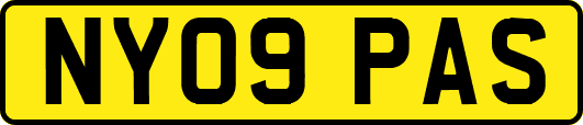 NY09PAS