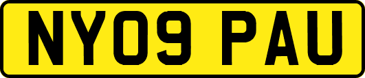 NY09PAU
