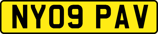 NY09PAV