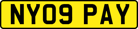 NY09PAY
