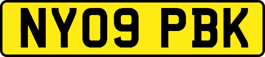 NY09PBK