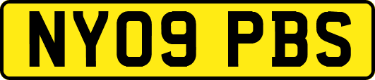 NY09PBS