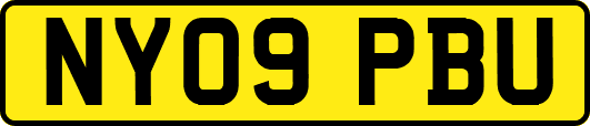 NY09PBU