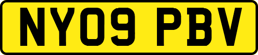 NY09PBV