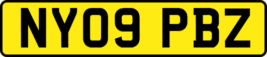 NY09PBZ