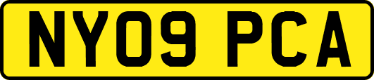 NY09PCA