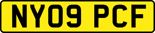 NY09PCF