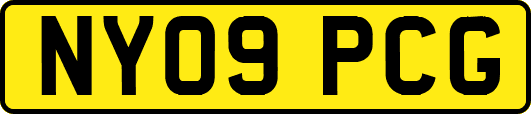 NY09PCG
