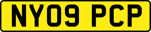 NY09PCP