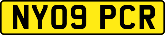 NY09PCR