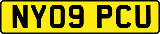 NY09PCU