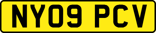 NY09PCV