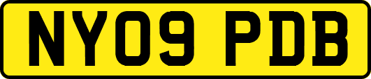 NY09PDB