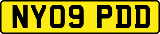 NY09PDD
