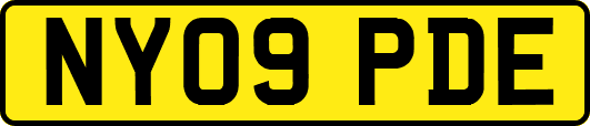 NY09PDE