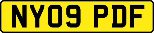 NY09PDF