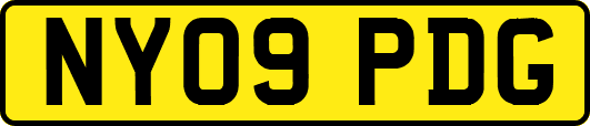 NY09PDG
