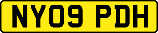 NY09PDH
