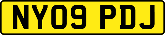 NY09PDJ