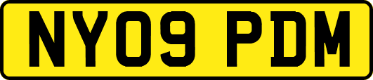 NY09PDM