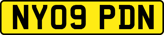 NY09PDN