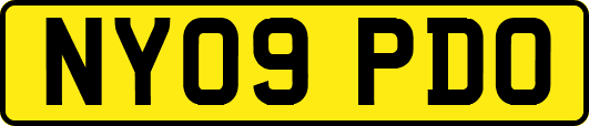 NY09PDO