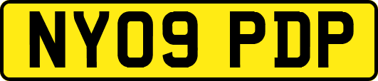 NY09PDP
