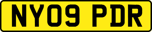 NY09PDR