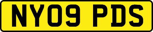 NY09PDS