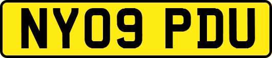 NY09PDU
