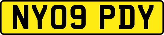 NY09PDY