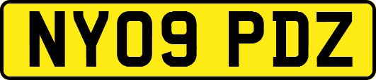 NY09PDZ