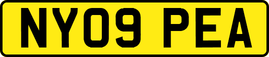 NY09PEA