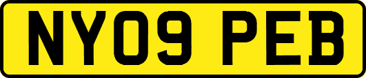 NY09PEB