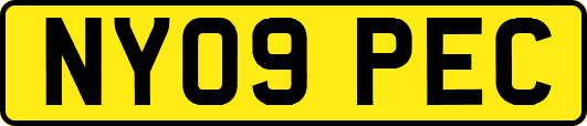 NY09PEC
