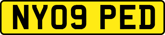 NY09PED