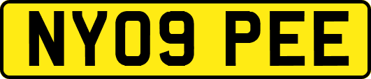 NY09PEE