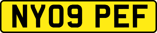NY09PEF