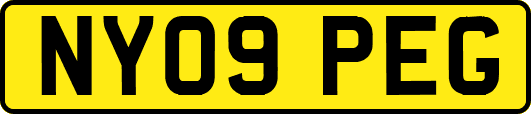 NY09PEG
