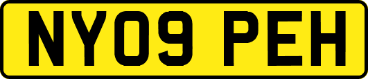 NY09PEH