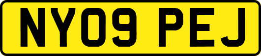 NY09PEJ