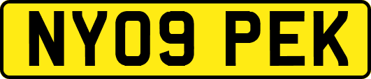 NY09PEK