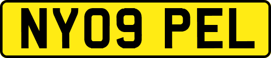 NY09PEL
